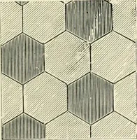 An illustration from The dictionary of needlework : an encyclopædia of artistic, plain, and fancy needlework ... (1882)