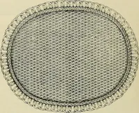 Picture 461 of 571 from The dictionary of needlework : an encyclopædia of artistic, plain, and fancy needlework ... (1882), leaf 407