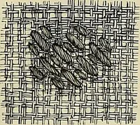 An illustration from The dictionary of needlework : an encyclopædia of artistic, plain, and fancy needlework ... (1882)