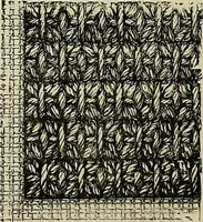 An illustration from The dictionary of needlework : an encyclopædia of artistic, plain, and fancy needlework ... (1882)