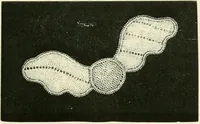 An illustration from The dictionary of needlework : an encyclopædia of artistic, plain, and fancy needlework ... (1882)