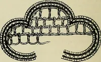 An illustration from The dictionary of needlework : an encyclopædia of artistic, plain, and fancy needlework ... (1882)