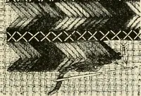 An illustration from The dictionary of needlework : an encyclopædia of artistic, plain, and fancy needlework ... (1882)