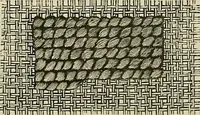 An illustration from The dictionary of needlework : an encyclopædia of artistic, plain, and fancy needlework ... (1882)