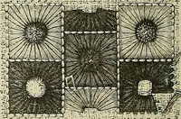 An illustration from The dictionary of needlework : an encyclopædia of artistic, plain, and fancy needlework ... (1882)