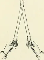 Picture 502 of 571 from The dictionary of needlework : an encyclopædia of artistic, plain, and fancy needlework ... (1882), leaf 450