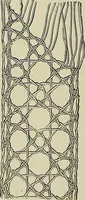 An illustration from The dictionary of needlework : an encyclopædia of artistic, plain, and fancy needlework ... (1882)