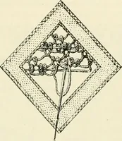 An illustration from The dictionary of needlework : an encyclopædia of artistic, plain, and fancy needlework ... (1882)