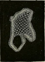 An illustration from The dictionary of needlework : an encyclopædia of artistic, plain, and fancy needlework ... (1882)