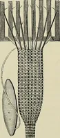 An illustration from The dictionary of needlework : an encyclopædia of artistic, plain, and fancy needlework ... (1882)