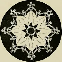 An illustration from The dictionary of needlework : an encyclopædia of artistic, plain, and fancy needlework ... (1882)