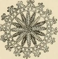 An illustration from The dictionary of needlework : an encyclopædia of artistic, plain, and fancy needlework ... (1882)