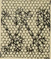 An illustration from The dictionary of needlework : an encyclopædia of artistic, plain, and fancy needlework ... (1882)