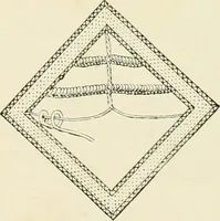 An illustration from The dictionary of needlework : an encyclopædia of artistic, plain, and fancy needlework ... (1882)