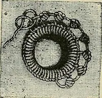 An illustration from The dictionary of needlework : an encyclopædia of artistic, plain, and fancy needlework ... (1882)