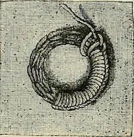 An illustration from The dictionary of needlework : an encyclopædia of artistic, plain, and fancy needlework ... (1882)