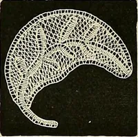 An illustration from The dictionary of needlework : an encyclopædia of artistic, plain, and fancy needlework ... (1882)