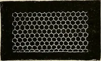 An illustration from The dictionary of needlework : an encyclopædia of artistic, plain, and fancy needlework ... (1882)