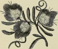 An illustration from The dictionary of needlework : an encyclopædia of artistic, plain, and fancy needlework ... (1882)