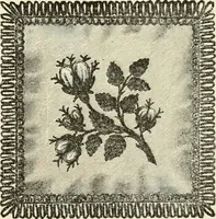 An illustration from The dictionary of needlework : an encyclopædia of artistic, plain, and fancy needlework ... (1882)