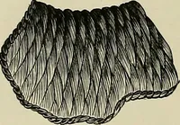 An illustration from The dictionary of needlework : an encyclopædia of artistic, plain, and fancy needlework ... (1882)