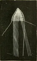 Picture 94 of 571 from The dictionary of needlework : an encyclopædia of artistic, plain, and fancy needlework ... (1882), leaf 92