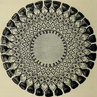 An illustration from The dictionary of needlework : an encyclopædia of artistic, plain, and fancy needlework ... (1882)