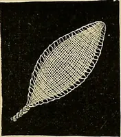 An illustration from The dictionary of needlework : an encyclopaedia of artistic, plain, and fancy needlework. Dealing fully with the details of all the stitches employed, the method of working, the materials used, the meaning of technical terms, and, where necessary, tracing the origin and history of the various works described. Illustrated with upwards of 800 wood engravings, and coloured plates. Plain sewing, textiles, dressmaking, appliances, and terms (1885)