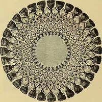 An illustration from The dictionary of needlework : an encyclopaedia of artistic, plain, and fancy needlework. Dealing fully with the details of all the stitches employed, the method of working, the materials used, the meaning of technical terms, and, where necessary, tracing the origin and history of the various works described. Illustrated with upwards of 800 wood engravings, and coloured plates. Plain sewing, textiles, dressmaking, appliances, and terms (1885)