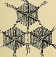 An illustration from The dictionary of needlework : an encyclopaedia of artistic, plain, and fancy needlework. Dealing fully with the details of all the stitches employed, the method of working, the materials used, the meaning of technical terms, and, where necessary, tracing the origin and history of the various works described. Illustrated with upwards of 800 wood engravings, and coloured plates. Plain sewing, textiles, dressmaking, appliances, and terms (1885)