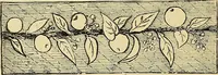 An illustration from The dictionary of needlework : an encyclopaedia of artistic, plain, and fancy needlework. Dealing fully with the details of all the stitches employed, the method of working, the materials used, the meaning of technical terms, and, where necessary, tracing the origin and history of the various works described. Illustrated with upwards of 800 wood engravings, and coloured plates. Plain sewing, textiles, dressmaking, appliances, and terms (1885)