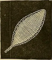 An illustration from The dictionary of needlework : an encyclopaedia of artistic, plain, and fancy needlework. Dealing fully with the details of all the stitches employed, the method of working, the materials used, the meaning of technical terms, and, where necessary, tracing the origin and history of the various works described. Illustrated with upwards of 800 wood engravings, and coloured plates. Plain sewing, textiles, dressmaking, appliances, and terms (1885)