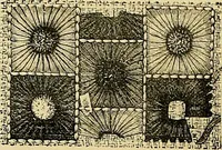 An illustration from The dictionary of needlework : an encyclopaedia of artistic, plain, and fancy needlework. Dealing fully with the details of all the stitches employed, the method of working, the materials used, the meaning of technical terms, and, where necessary, tracing the origin and history of the various works described. Illustrated with upwards of 800 wood engravings, and coloured plates. Plain sewing, textiles, dressmaking, appliances, and terms (1885)