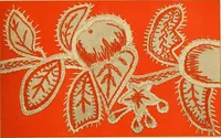 An illustration from The dictionary of needlework : an encyclopaedia of artistic, plain, and fancy needlework. Dealing fully with the details of all the stitches employed, the method of working, the materials used, the meaning of technical terms, and, where necessary, tracing the origin and history of the various works described. Illustrated with upwards of 800 wood engravings, and coloured plates. Plain sewing, textiles, dressmaking, appliances, and terms (1885)