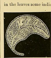 An illustration from The dictionary of needlework : an encyclopaedia of artistic, plain, and fancy needlework. Dealing fully with the details of all the stitches employed, the method of working, the materials used, the meaning of technical terms, and, where necessary, tracing the origin and history of the various works described. Illustrated with upwards of 800 wood engravings, and coloured plates. Plain sewing, textiles, dressmaking, appliances, and terms (1885)