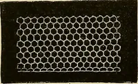 An illustration from The dictionary of needlework : an encyclopaedia of artistic, plain, and fancy needlework. Dealing fully with the details of all the stitches employed, the method of working, the materials used, the meaning of technical terms, and, where necessary, tracing the origin and history of the various works described. Illustrated with upwards of 800 wood engravings, and coloured plates. Plain sewing, textiles, dressmaking, appliances, and terms (1885)