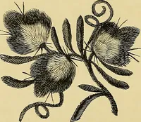 An illustration from The dictionary of needlework : an encyclopaedia of artistic, plain, and fancy needlework. Dealing fully with the details of all the stitches employed, the method of working, the materials used, the meaning of technical terms, and, where necessary, tracing the origin and history of the various works described. Illustrated with upwards of 800 wood engravings, and coloured plates. Plain sewing, textiles, dressmaking, appliances, and terms (1885)