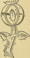An illustration from The dictionary of needlework : an encyclopaedia of artistic, plain, and fancy needlework. Dealing fully with the details of all the stitches employed, the method of working, the materials used, the meaning of technical terms, and, where necessary, tracing the origin and history of the various works described. Illustrated with upwards of 800 wood engravings, and coloured plates. Plain sewing, textiles, dressmaking, appliances, and terms (1885)