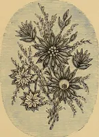An illustration from The dictionary of needlework : an encyclopaedia of artistic, plain, and fancy needlework. Dealing fully with the details of all the stitches employed, the method of working, the materials used, the meaning of technical terms, and, where necessary, tracing the origin and history of the various works described. Illustrated with upwards of 800 wood engravings, and coloured plates. Plain sewing, textiles, dressmaking, appliances, and terms (1885)