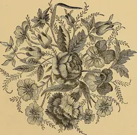 An illustration from The dictionary of needlework : an encyclopaedia of artistic, plain, and fancy needlework. Dealing fully with the details of all the stitches employed, the method of working, the materials used, the meaning of technical terms, and, where necessary, tracing the origin and history of the various works described. Illustrated with upwards of 800 wood engravings, and coloured plates. Plain sewing, textiles, dressmaking, appliances, and terms (1885)
