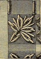 An illustration from The dictionary of needlework : an encyclopaedia of artistic, plain, and fancy needlework. Dealing fully with the details of all the stitches employed, the method of working, the materials used, the meaning of technical terms, and, where necessary, tracing the origin and history of the various works described. Illustrated with upwards of 800 wood engravings, and coloured plates. Plain sewing, textiles, dressmaking, appliances, and terms (1885)