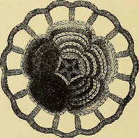 An illustration from The dictionary of needlework : an encyclopaedia of artistic, plain, and fancy needlework. Dealing fully with the details of all the stitches employed, the method of working, the materials used, the meaning of technical terms, and, where necessary, tracing the origin and history of the various works described. Illustrated with upwards of 800 wood engravings, and coloured plates. Plain sewing, textiles, dressmaking, appliances, and terms (1885)