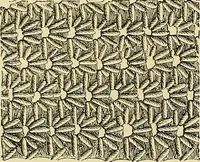 An illustration from The dictionary of needlework : an encyclopaedia of artistic, plain, and fancy needlework. Dealing fully with the details of all the stitches employed, the method of working, the materials used, the meaning of technical terms, and, where necessary, tracing the origin and history of the various works described. Illustrated with upwards of 800 wood engravings, and coloured plates. Plain sewing, textiles, dressmaking, appliances, and terms (1885)