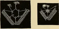 An illustration from The dictionary of needlework : an encyclopaedia of artistic, plain, and fancy needlework. Dealing fully with the details of all the stitches employed, the method of working, the materials used, the meaning of technical terms, and, where necessary, tracing the origin and history of the various works described. Illustrated with upwards of 800 wood engravings, and coloured plates. Plain sewing, textiles, dressmaking, appliances, and terms (1885)