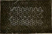 An illustration from The dictionary of needlework : an encyclopaedia of artistic, plain, and fancy needlework. Dealing fully with the details of all the stitches employed, the method of working, the materials used, the meaning of technical terms, and, where necessary, tracing the origin and history of the various works described. Illustrated with upwards of 800 wood engravings, and coloured plates. Plain sewing, textiles, dressmaking, appliances, and terms (1885)
