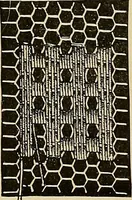 An illustration from The dictionary of needlework : an encyclopaedia of artistic, plain, and fancy needlework. Dealing fully with the details of all the stitches employed, the method of working, the materials used, the meaning of technical terms, and, where necessary, tracing the origin and history of the various works described. Illustrated with upwards of 800 wood engravings, and coloured plates. Plain sewing, textiles, dressmaking, appliances, and terms (1885)