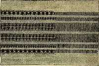 An illustration from The dictionary of needlework : an encyclopaedia of artistic, plain, and fancy needlework. Dealing fully with the details of all the stitches employed, the method of working, the materials used, the meaning of technical terms, and, where necessary, tracing the origin and history of the various works described. Illustrated with upwards of 800 wood engravings, and coloured plates. Plain sewing, textiles, dressmaking, appliances, and terms (1885)