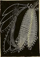 An illustration from The dictionary of needlework : an encyclopaedia of artistic, plain, and fancy needlework. Dealing fully with the details of all the stitches employed, the method of working, the materials used, the meaning of technical terms, and, where necessary, tracing the origin and history of the various works described. Illustrated with upwards of 800 wood engravings, and coloured plates. Plain sewing, textiles, dressmaking, appliances, and terms (1885)