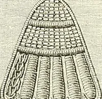 An illustration from The dictionary of needlework : an encyclopaedia of artistic, plain, and fancy needlework. Dealing fully with the details of all the stitches employed, the method of working, the materials used, the meaning of technical terms, and, where necessary, tracing the origin and history of the various works described. Illustrated with upwards of 800 wood engravings, and coloured plates. Plain sewing, textiles, dressmaking, appliances, and terms (1885)