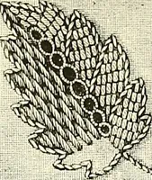An illustration from The dictionary of needlework : an encyclopaedia of artistic, plain, and fancy needlework. Dealing fully with the details of all the stitches employed, the method of working, the materials used, the meaning of technical terms, and, where necessary, tracing the origin and history of the various works described. Illustrated with upwards of 800 wood engravings, and coloured plates. Plain sewing, textiles, dressmaking, appliances, and terms (1885)
